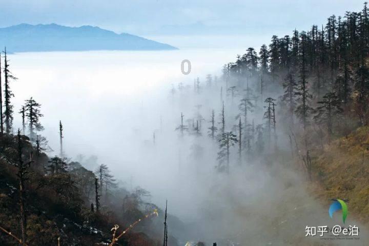36卷本《中医十三经》  为中医药振兴发展树丰碑